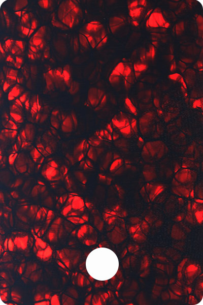 YL2KB207